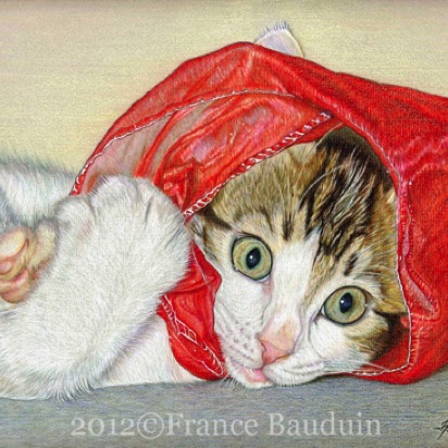 Gulliver - 27 hours
Daler-Rowney Pastel Paper
9" x 12"
From Spooky's last litter Gulliver - 27 hours
Daler-Rowney Pastel Paper
9" x 12"
From Spooky's last litter